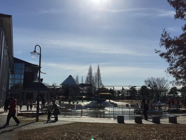 公園の写真